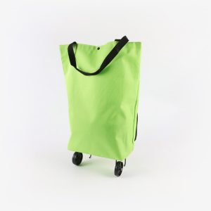 Ergonomic Shopping Trolley