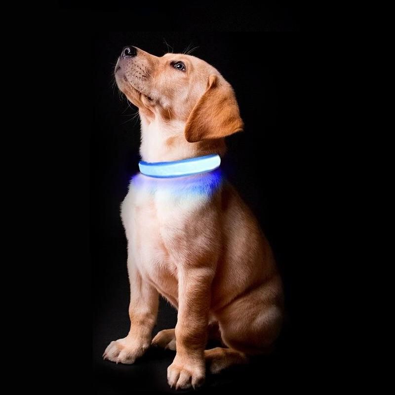 LED Safety Dog Collar